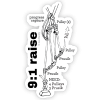 9:1 Raise - Image 5