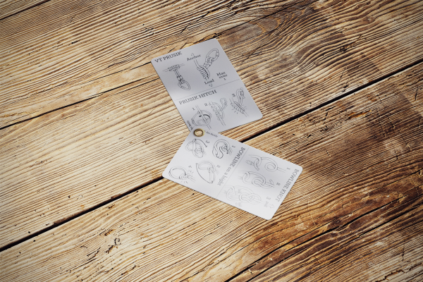 Rigging Deck - Rescue - Image 3