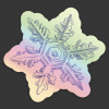holographic snowflake