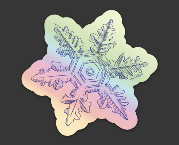 holographic snowflake