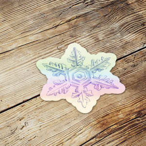 holographic snowflake