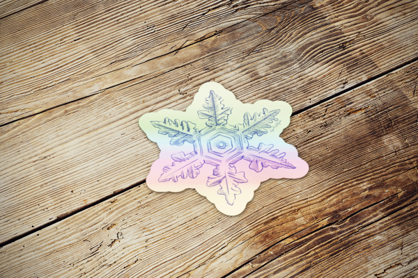 holographic snowflake