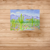 Saguaros