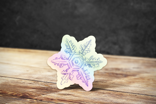 Trippy Holographic Snowflake